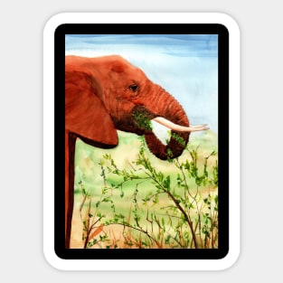 Wrinkles, Elephant Snacking Sticker